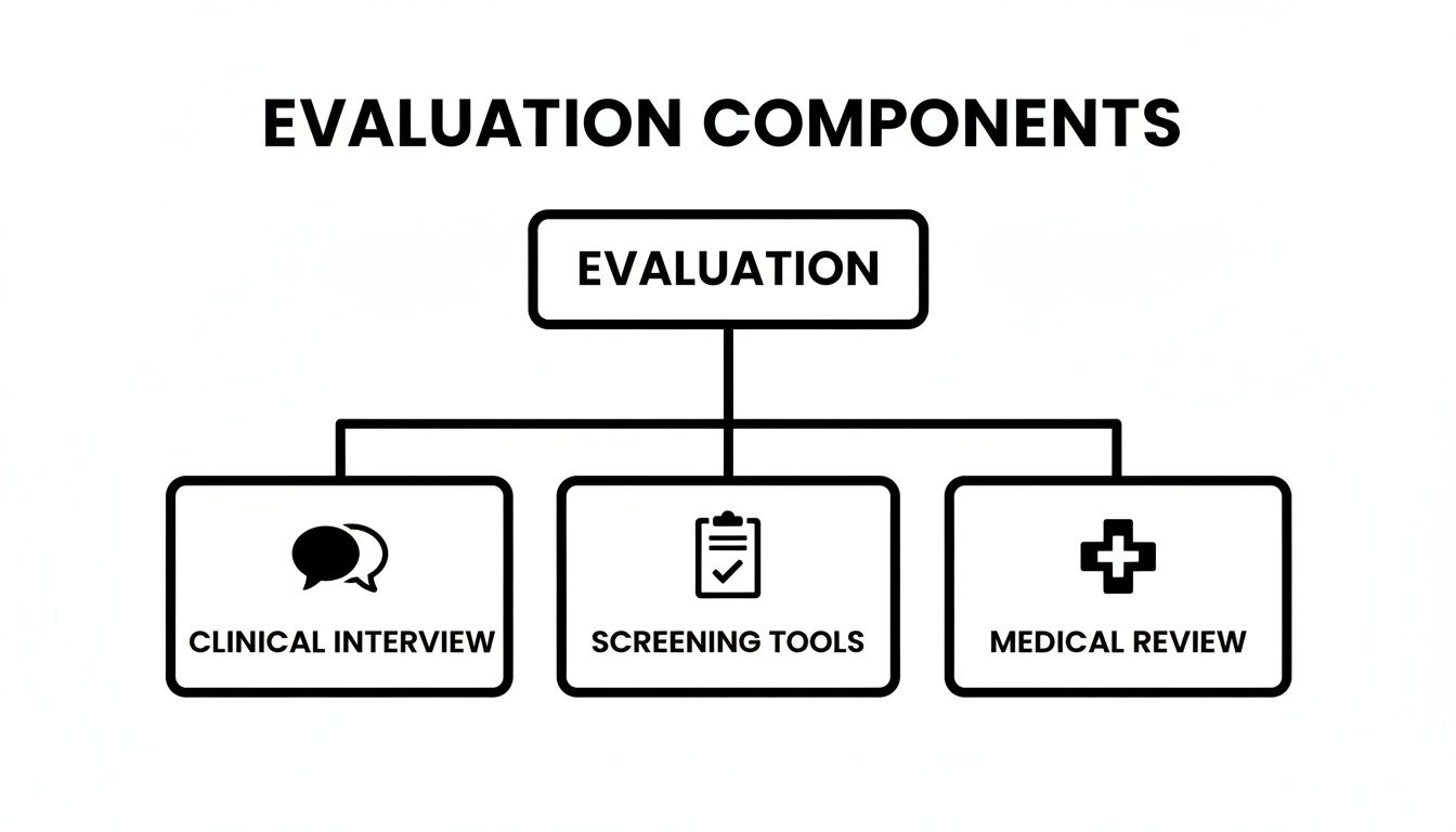 Flowchart showing evaluation components: clinical interview, screening tools, and medical review.