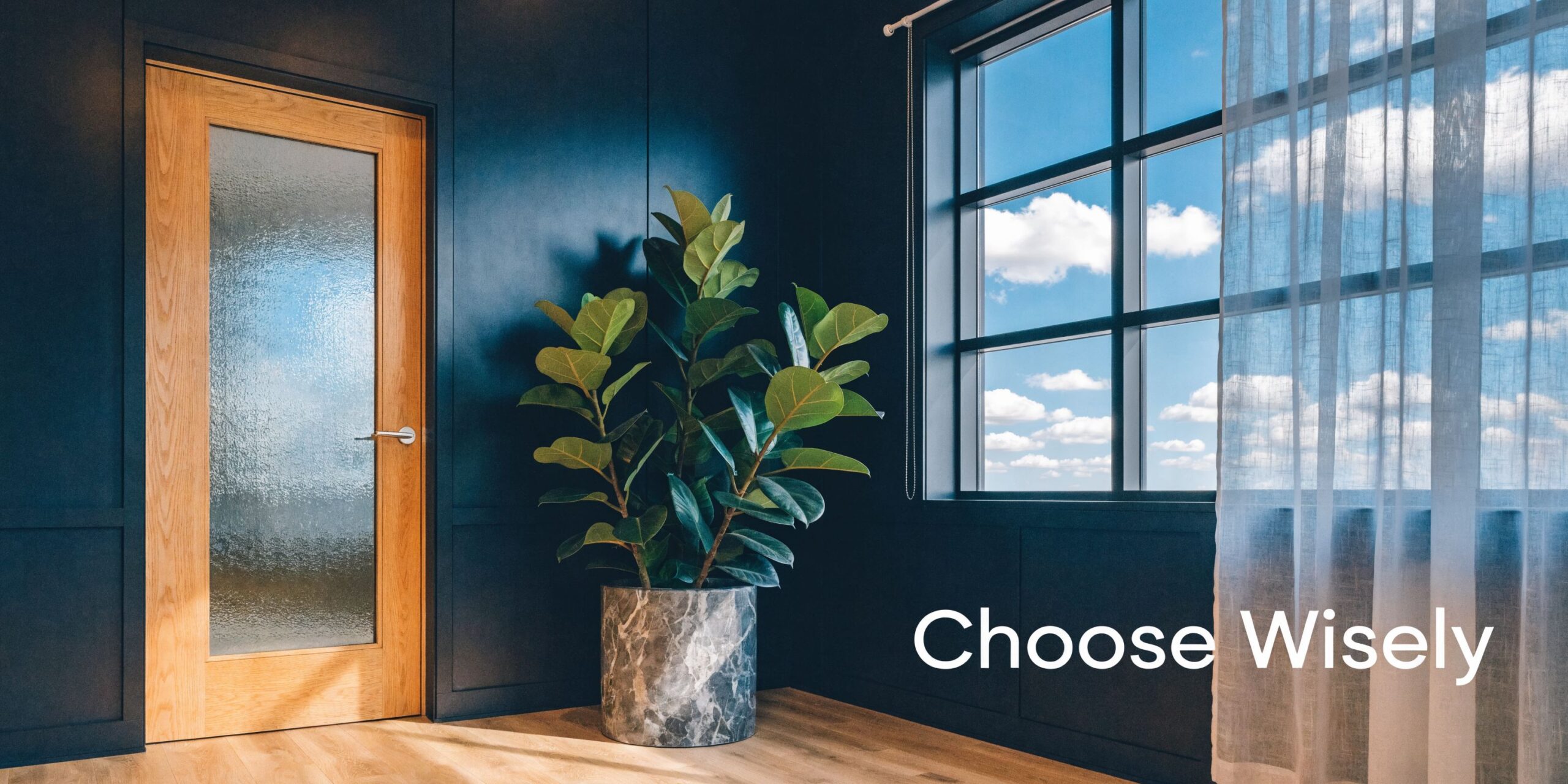 A minimalist room with a wooden glass-paneled door, a large potted plant, and a bright window.