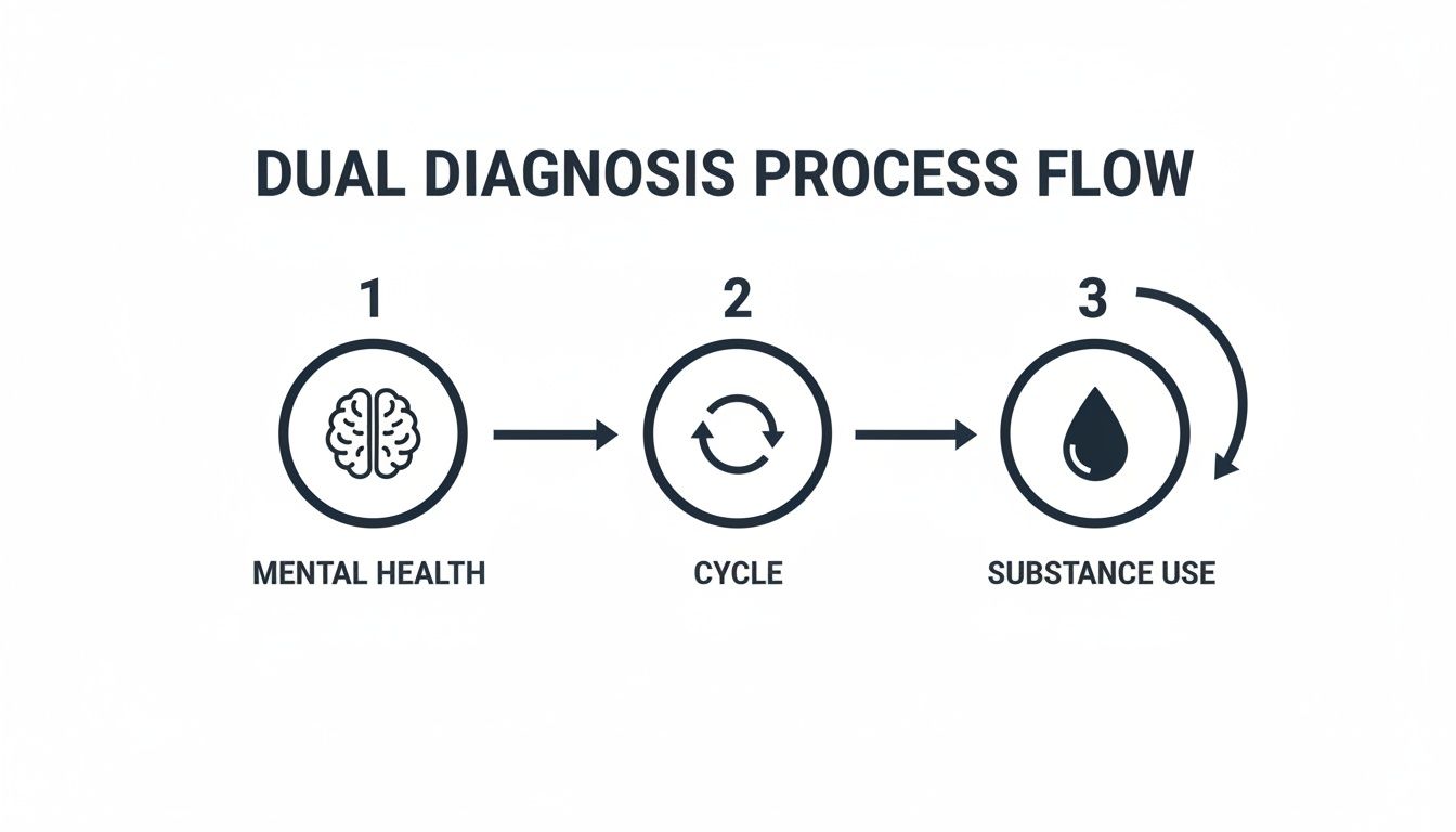 A dual diagnosis process flow chart illustrating mental health, a cycle, and substance use in a continuous loop.