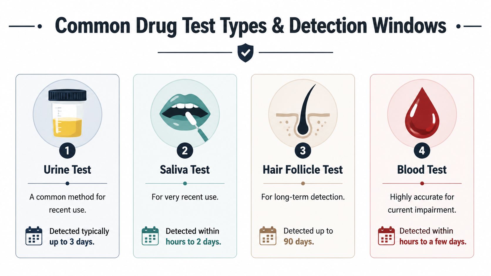An infographic showing four common types of drug tests including urine, saliva, hair follicle, and blood tests.