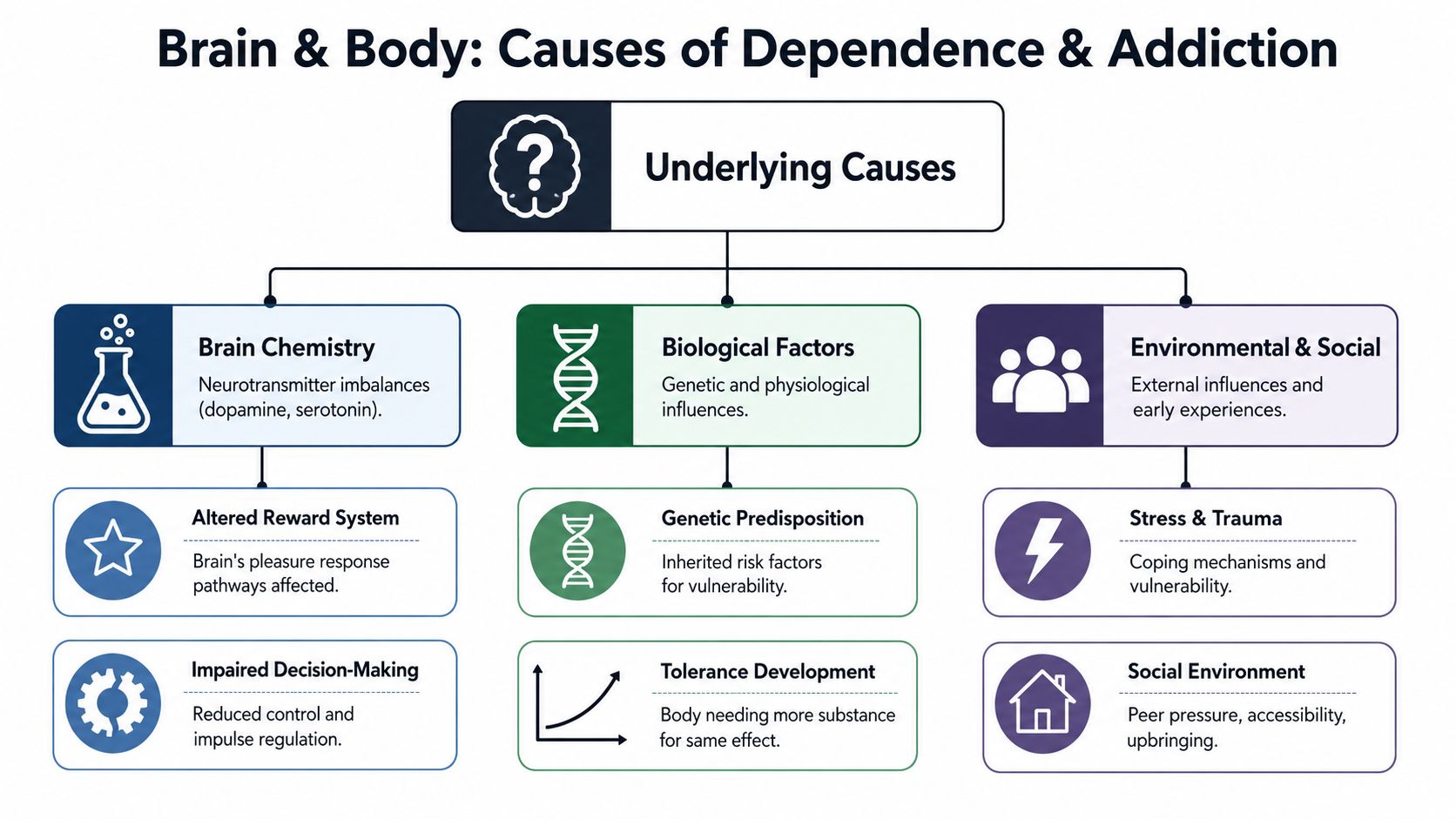 A flowchart diagram illustrating the various brain and body causes related to substance dependence and addiction.