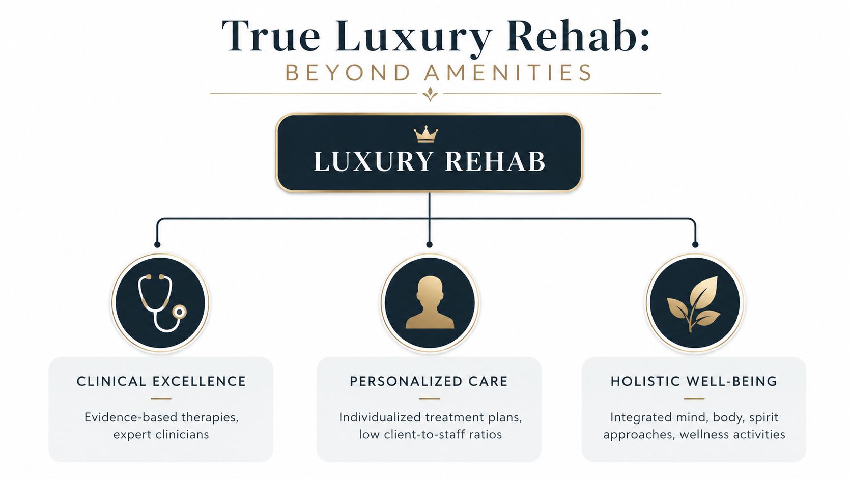 An infographic titled True Luxury Rehab illustrating the three core pillars: clinical excellence, personalized care, and holistic well-being.